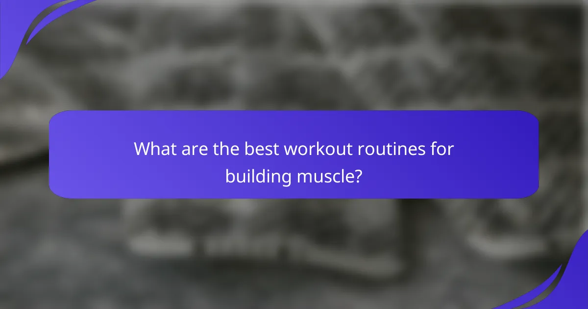 What are the best workout routines for building muscle?