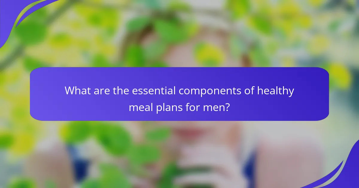 What are the essential components of healthy meal plans for men?