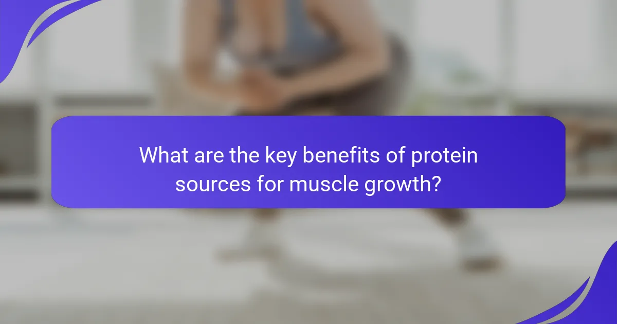 What are the key benefits of protein sources for muscle growth?