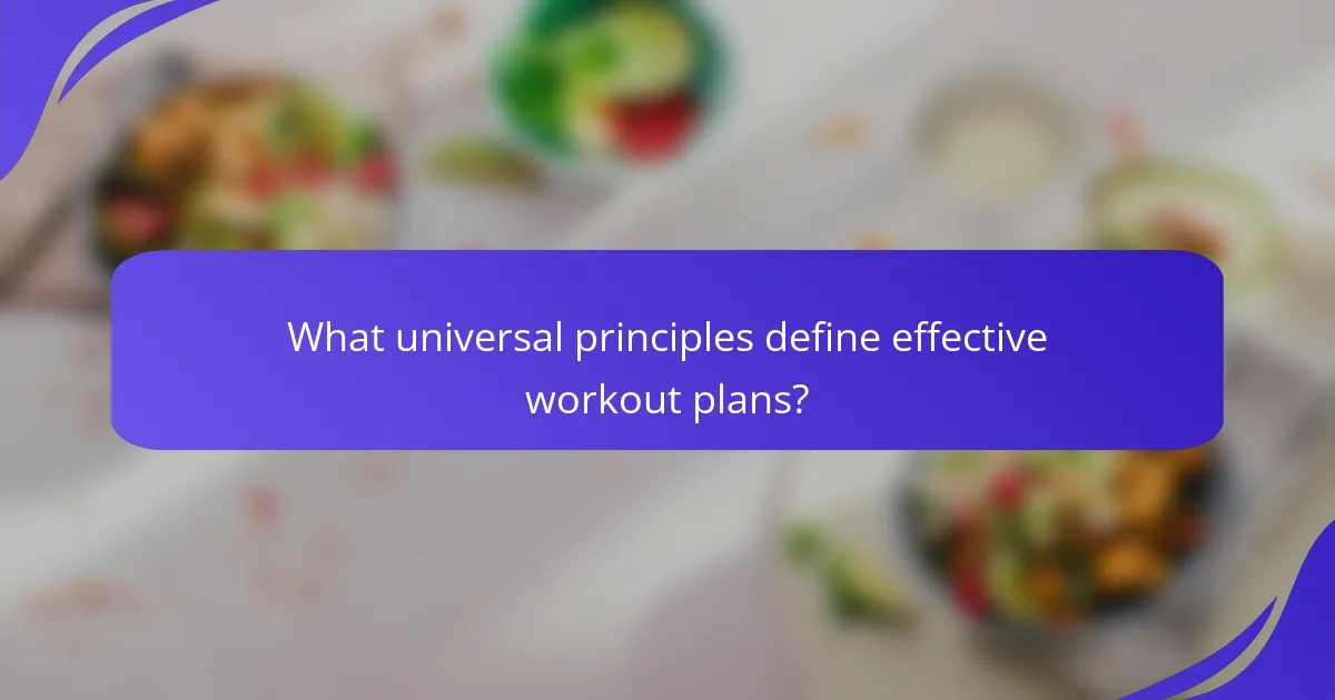 What universal principles define effective workout plans?